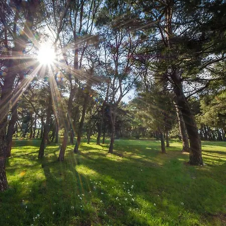 Piccola Pineta Apartman *