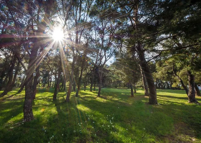 Piccola Pineta Apartament *